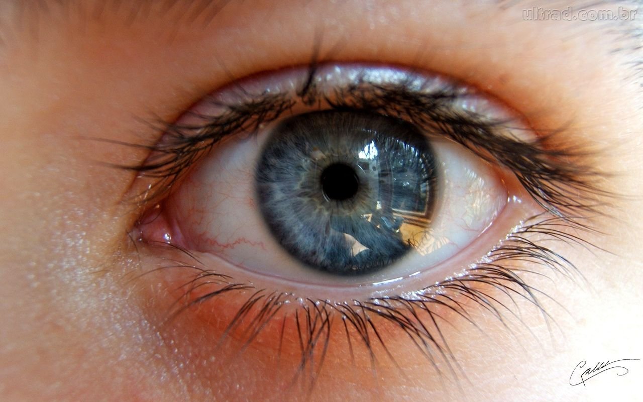 VIDEO - DE OLHO NAS OBRIGAÇÕES -  Sistemas Descomplicado 